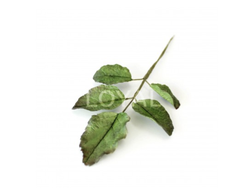 Universal Large Leaf Cutter - Image 3