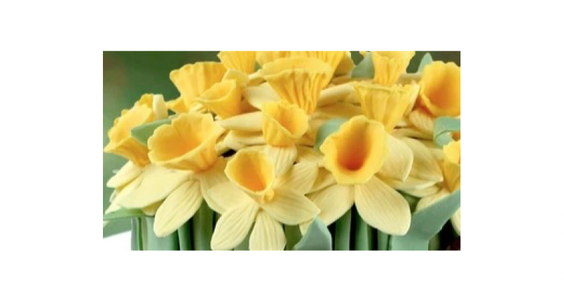 Daffodils Silicone Mould