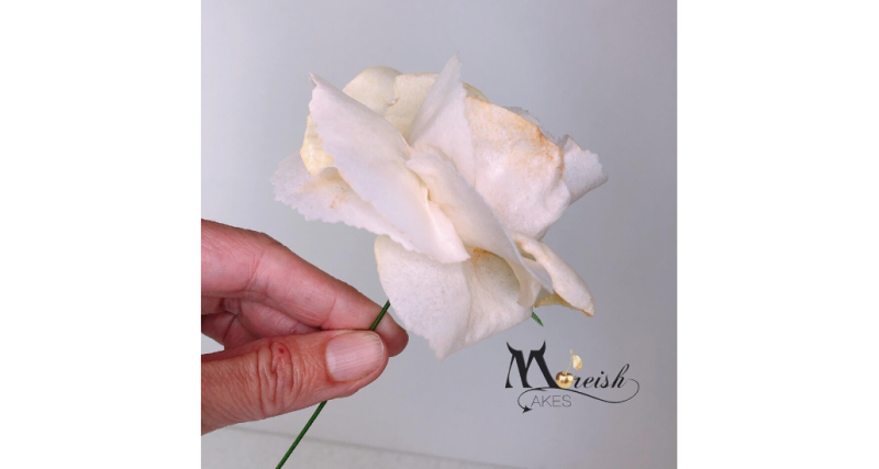 More Curl - Wafer Paper Curling Moisturiser - Image 2
