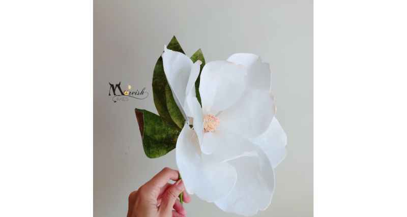 More Moist - Wafer Paper Moisturiser - Image 2