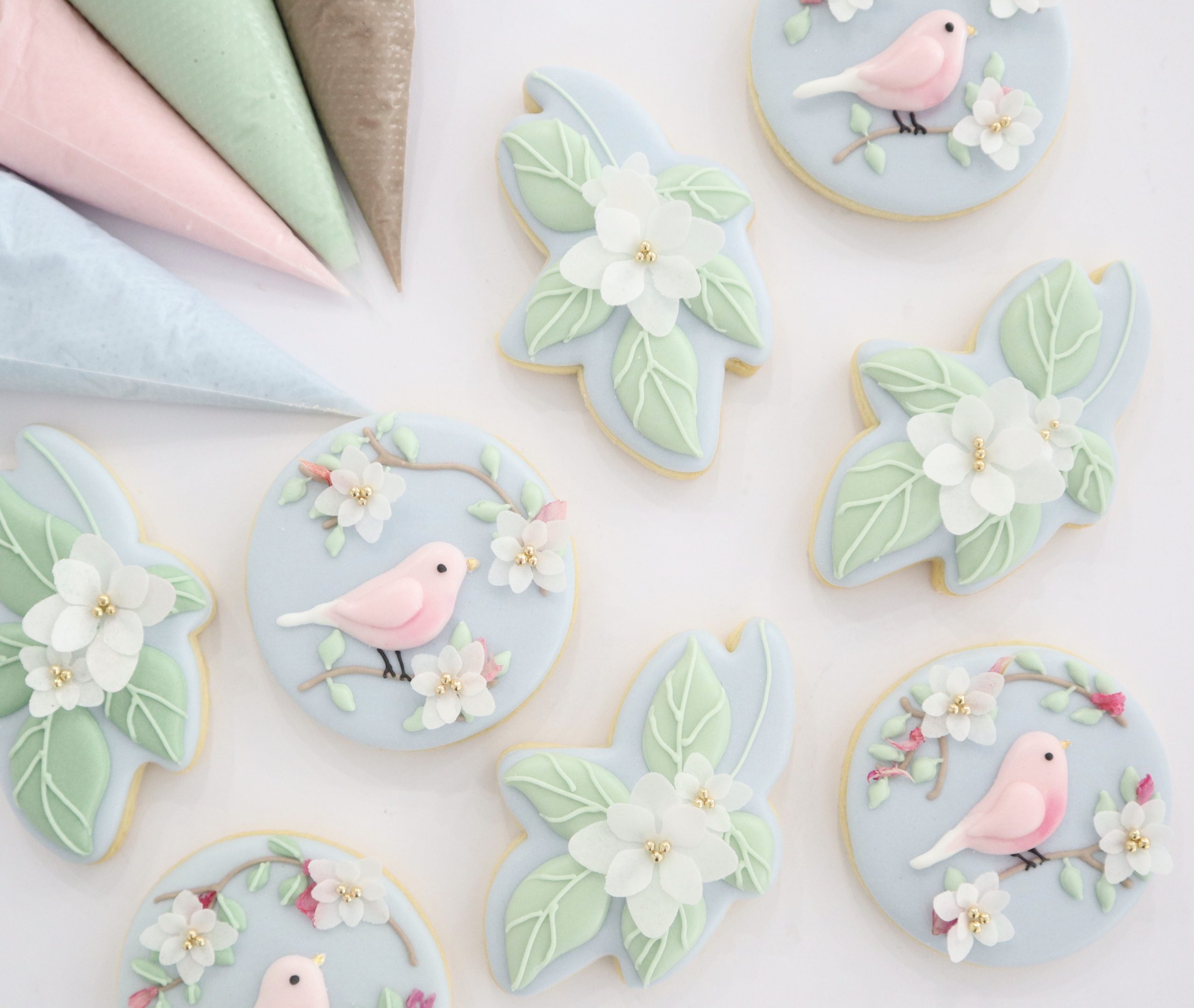 Sweet Tweets Intermediate royal Icing Cookie Class