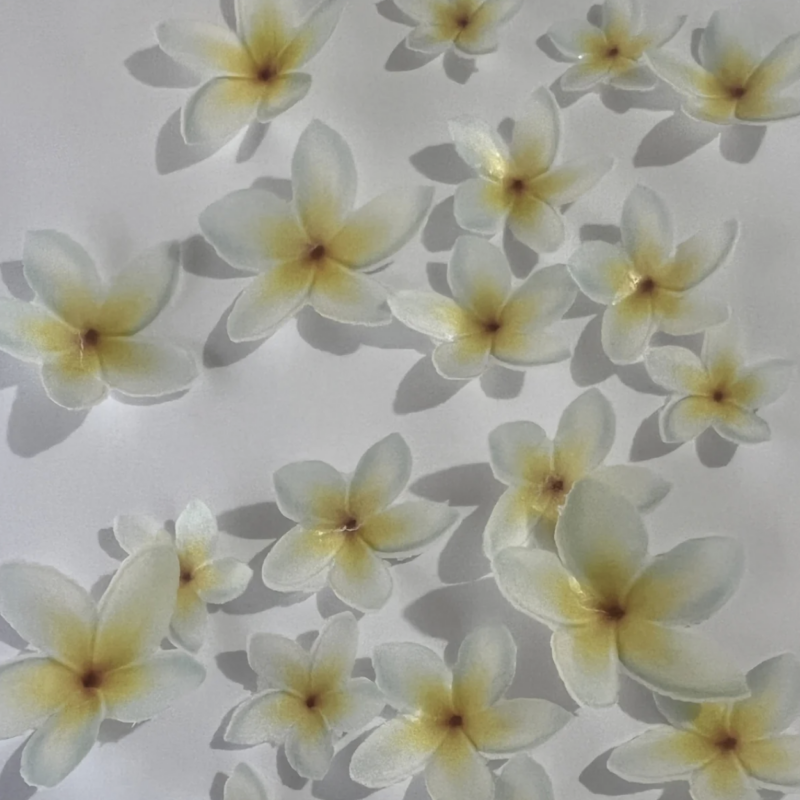 Edible Pre-cut Yellow Wafer Frangipani Flowers