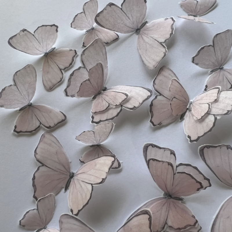 Pink & Grey Pre-cut Edible Wafer Butterflies