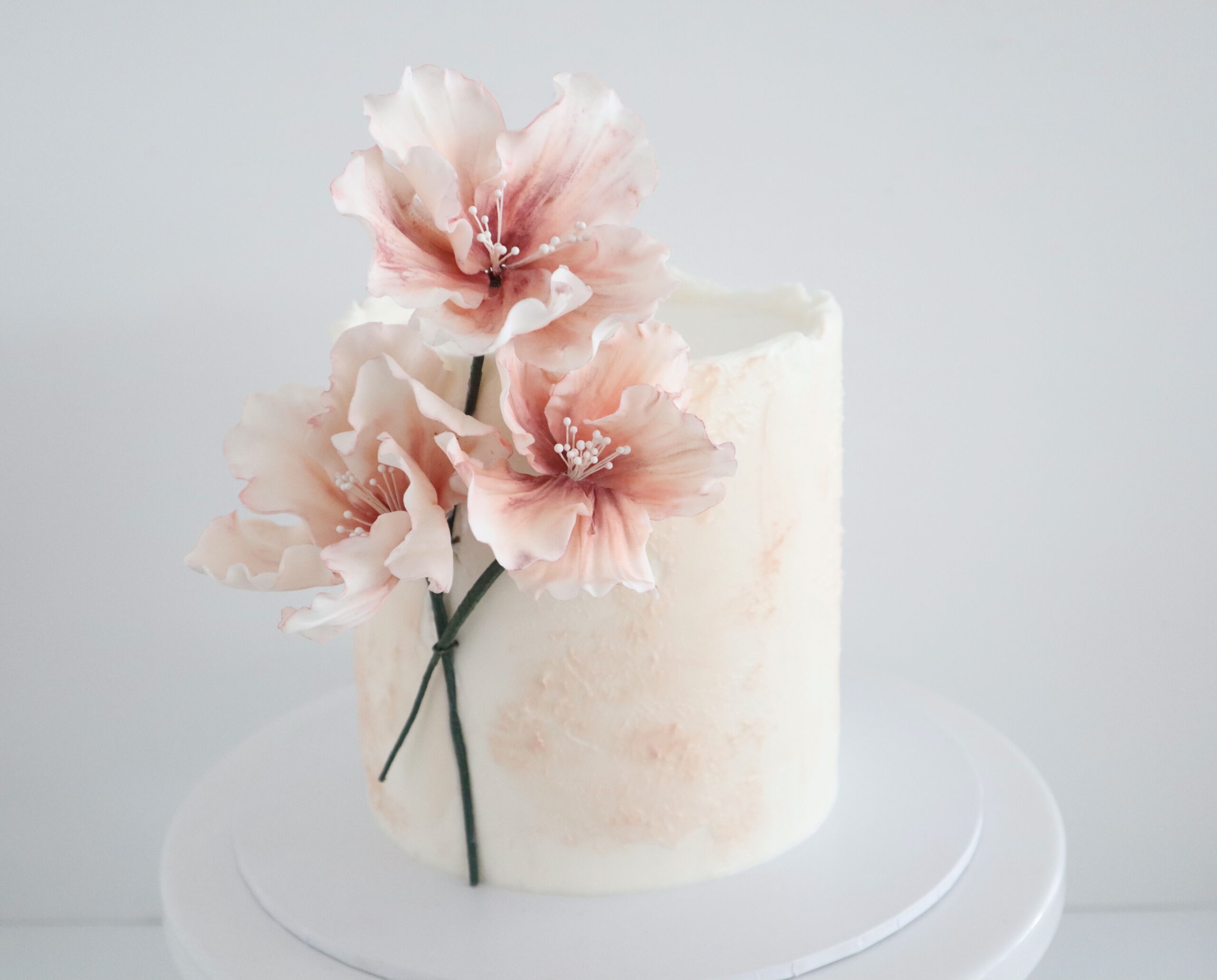 Petal and Pearl - Floral Cake Class